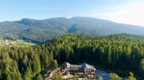 Hotel Waldheim